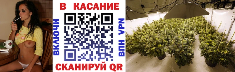 Марихуана Кизилюрт