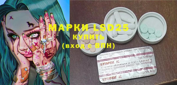шишки Беломорск