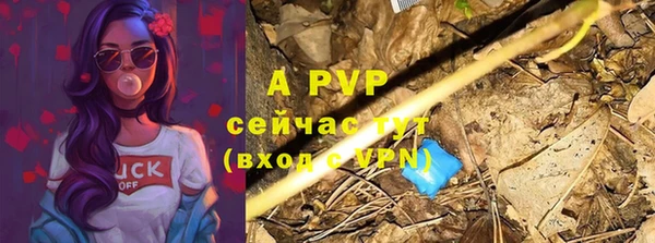 шишки Беломорск