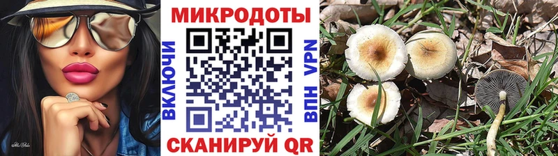 Псилоцибиновые грибы мухоморы  мега рабочий сайт  Кизилюрт 